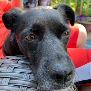 Meet your Posher, Jason